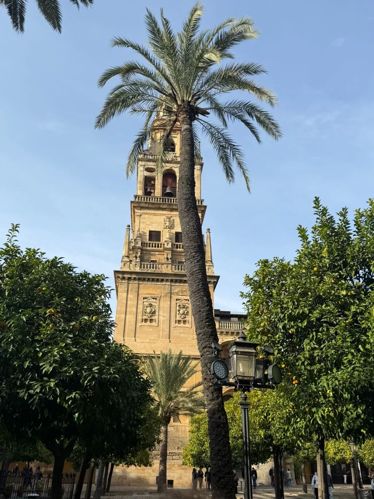 excursión a Córdoba y Carmona