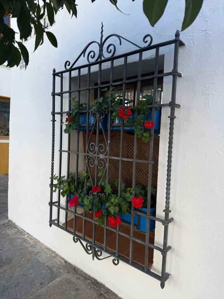 excursión a Córdoba y Carmona