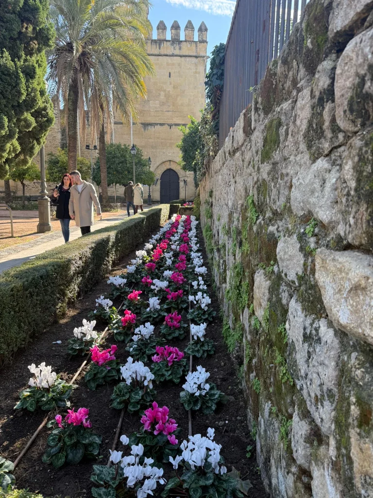 excursión a Córdoba y Carmona