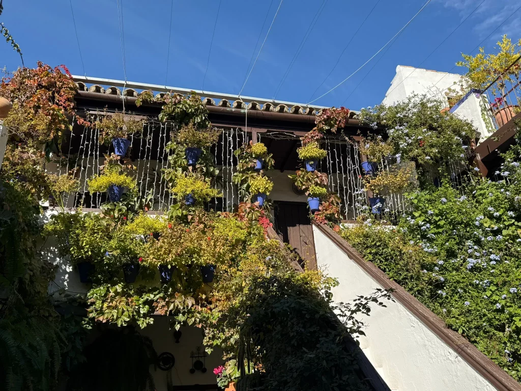 excursión a Córdoba y Carmona