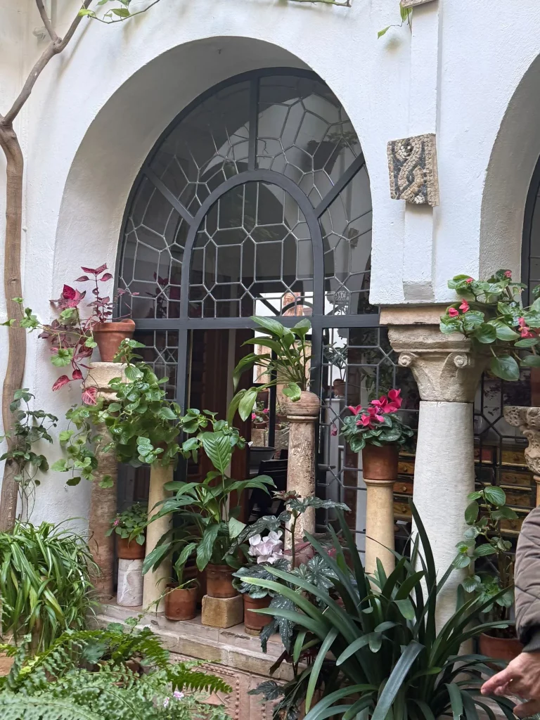 excursión a Córdoba y Carmona