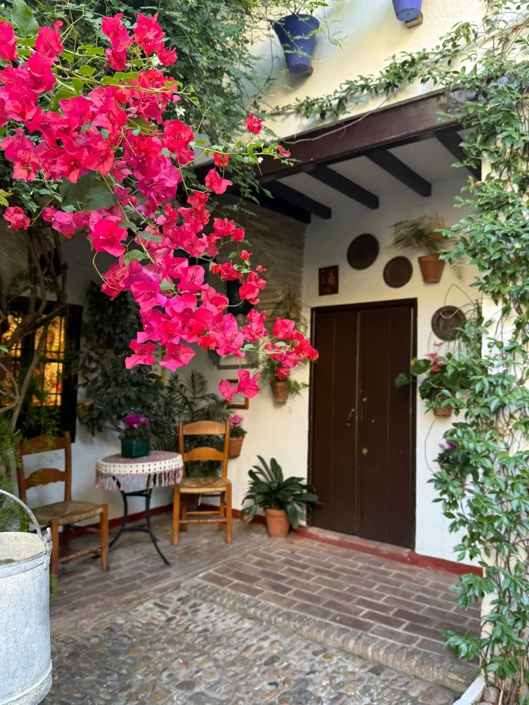 excursión a Córdoba y Carmona